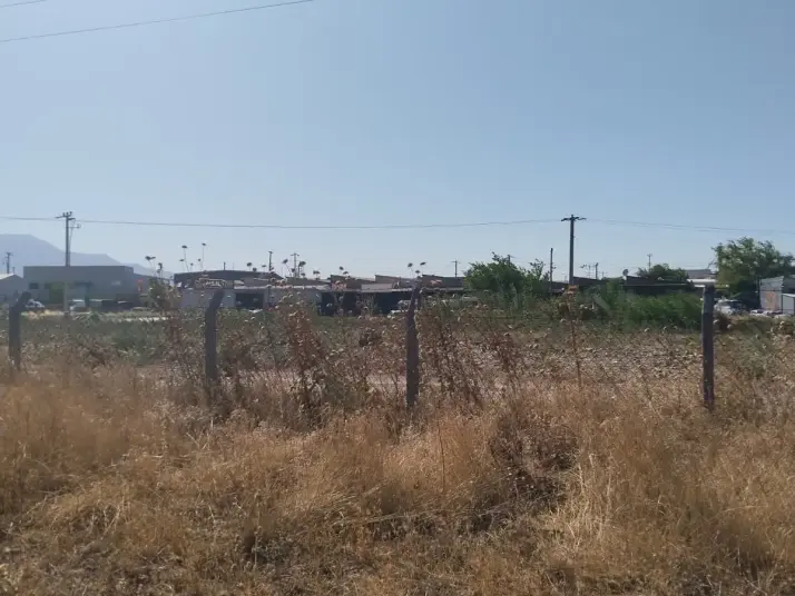 Emlak Atölyesinden Armutlu&#39;da Satılık 6056 M2 Tek Tapu Zeytinlik