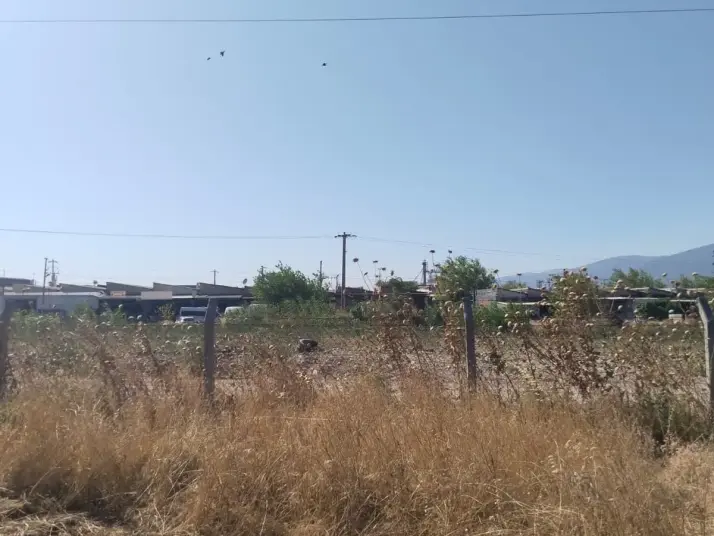 Emlak Atölyesinden Armutlu&#39;da Satılık 6056 M2 Tek Tapu Zeytinlik