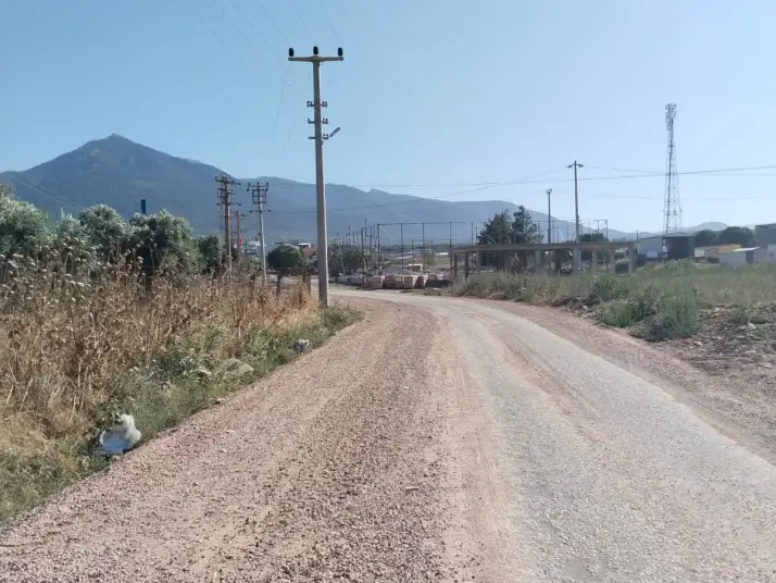 Emlak Atölyesinden Armutlu&#39;da Satılık 6056 M2 Tek Tapu Zeytinlik