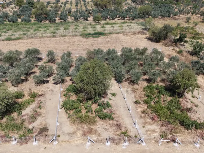 MENDERES DEREKÖYDE SATILIK 460 M2 TAPULU MERKEZE YAKIN ÇEVRİLİ HARİKA BAHÇE