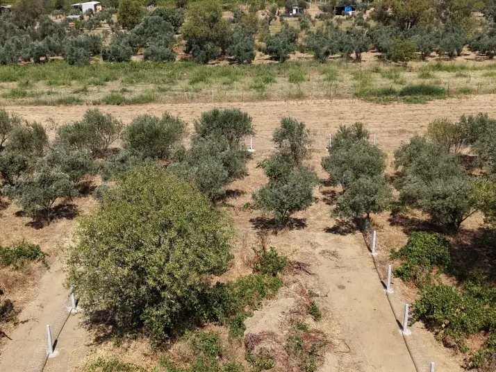 MENDERES DEREKÖYDE SATILIK 460 M2 TAPULU MERKEZE YAKIN ÇEVRİLİ HARİKA BAHÇE
