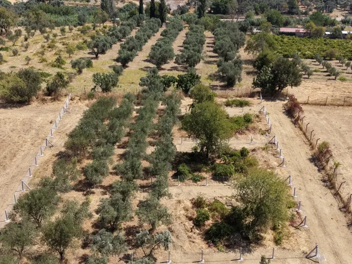 MENDERES DEREKÖYDE SATILIK 460 M2 TAPULU MERKEZE YAKIN ÇEVRİLİ HARİKA BAHÇE