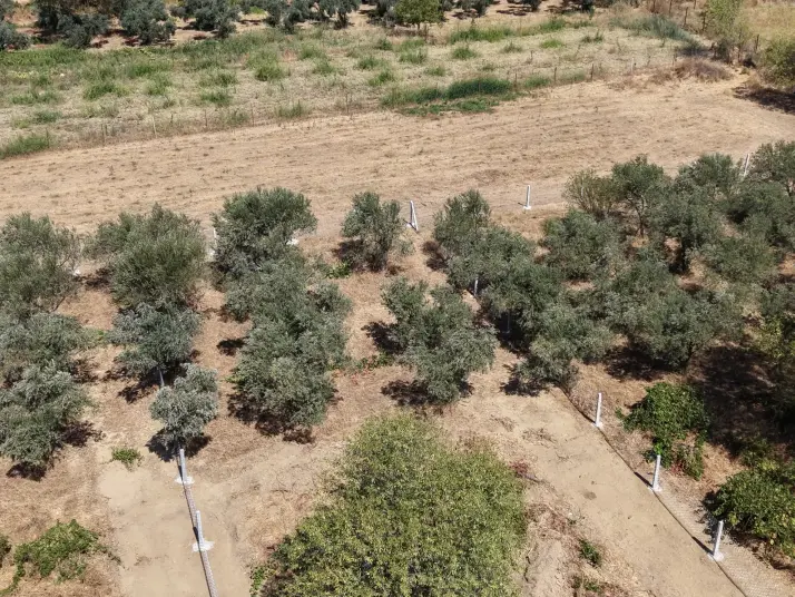 MENDERES DEREKÖYDE SATILIK 460 M2 TAPULU MERKEZE YAKIN ÇEVRİLİ HARİKA BAHÇE