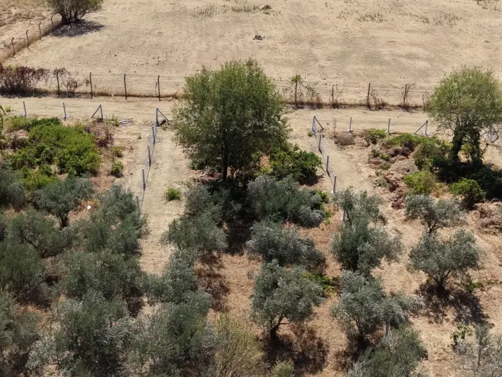 MENDERES DEREKÖYDE SATILIK 460 M2 TAPULU MERKEZE YAKIN ÇEVRİLİ HARİKA BAHÇE