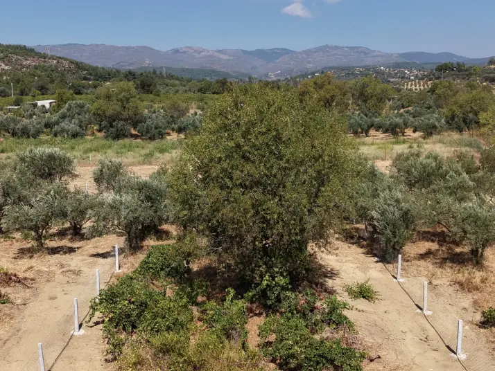 MENDERES DEREKÖYDE SATILIK 460 M2 TAPULU MERKEZE YAKIN ÇEVRİLİ HARİKA BAHÇE