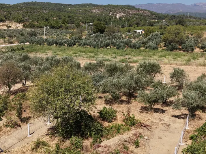 MENDERES DEREKÖYDE SATILIK 460 M2 TAPULU MERKEZE YAKIN ÇEVRİLİ HARİKA BAHÇE