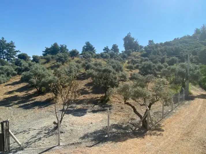 RAİON&#39;DAN İMAR PLANINA YAKIN MÜSTAKİL TAPULU SATILIK ZEYTİNLİK