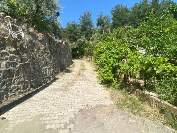 RAİON&#39;DAN İMAR PLANINA YAKIN MÜSTAKİL TAPULU SATILIK ZEYTİNLİK