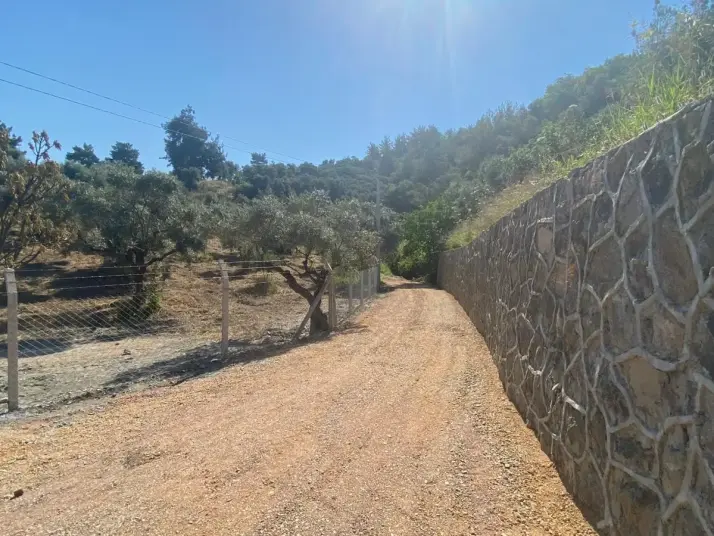 RAİON&#39;DAN İMAR PLANINA YAKIN MÜSTAKİL TAPULU SATILIK ZEYTİNLİK