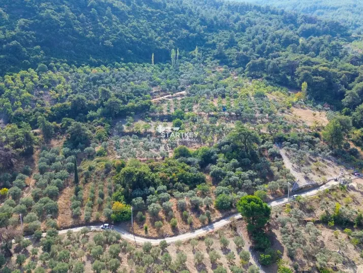 SELÇUK GÖKÇEALAN BURGAZ&#39;DA YOLA YAKIN TEK TAPU 5.392 m² TARLA
