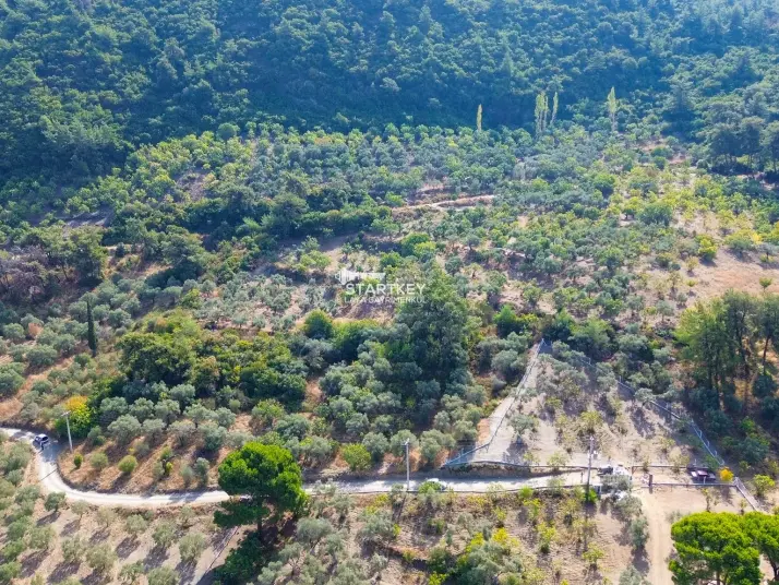 SELÇUK GÖKÇEALAN BURGAZ&#39;DA YOLA YAKIN TEK TAPU 5.392 m² TARLA