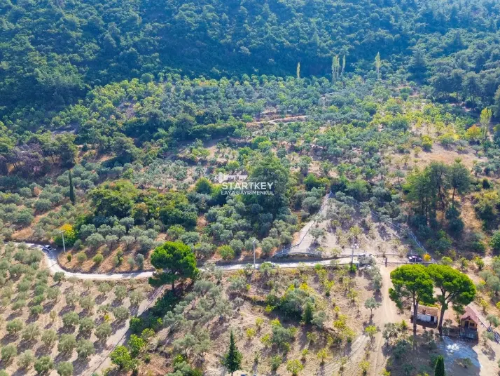 SELÇUK GÖKÇEALAN BURGAZ&#39;DA YOLA YAKIN TEK TAPU 5.392 m² TARLA