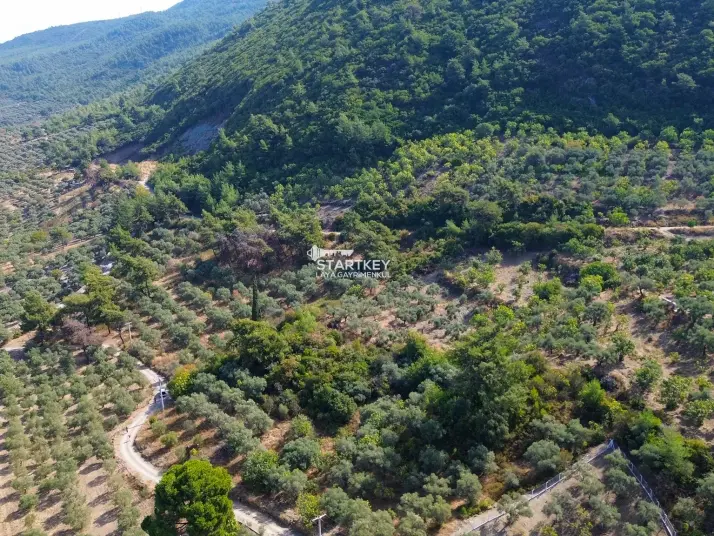 SELÇUK GÖKÇEALAN BURGAZ&#39;DA YOLA YAKIN TEK TAPU 5.392 m² TARLA