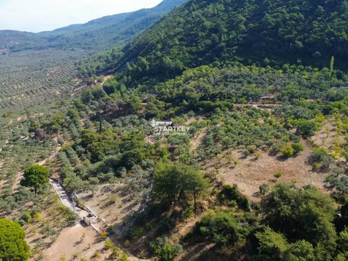 SELÇUK GÖKÇEALAN BURGAZ&#39;DA YOLA YAKIN TEK TAPU 5.392 m² TARLA