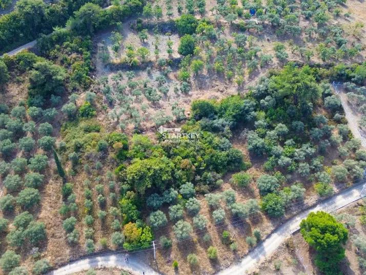 SELÇUK GÖKÇEALAN BURGAZ&#39;DA YOLA YAKIN TEK TAPU 5.392 m² TARLA