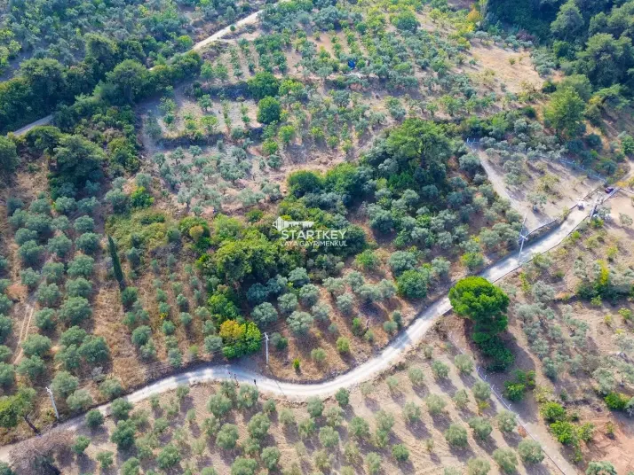 SELÇUK GÖKÇEALAN BURGAZ&#39;DA YOLA YAKIN TEK TAPU 5.392 m² TARLA