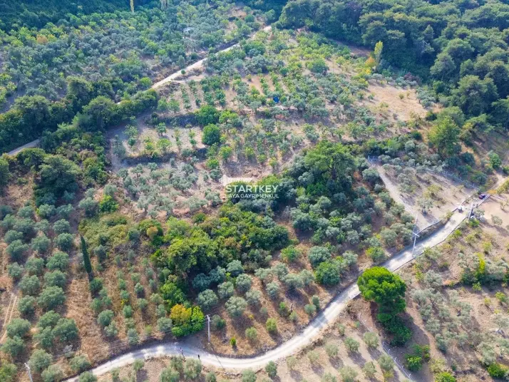 SELÇUK GÖKÇEALAN BURGAZ&#39;DA YOLA YAKIN TEK TAPU 5.392 m² TARLA