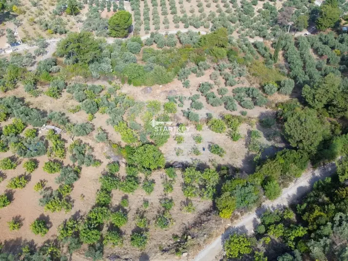 SELÇUK GÖKÇEALAN BURGAZ&#39;DA YOLA YAKIN TEK TAPU 5.392 m² TARLA