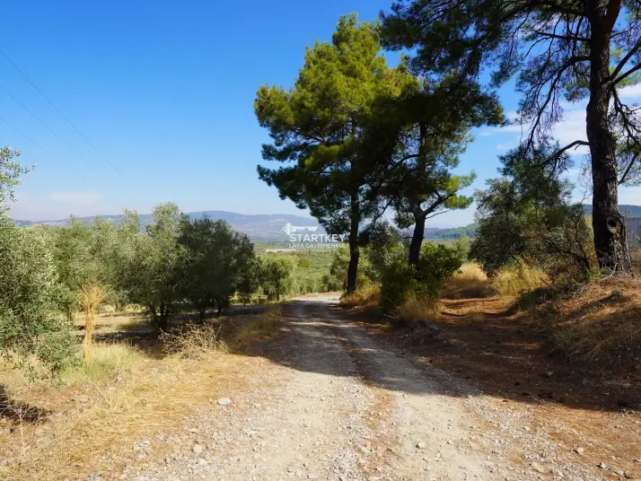 SELÇUK GÖKÇEALAN BURGAZ&#39;DA YOLA YAKIN TEK TAPU 5.392 m² TARLA