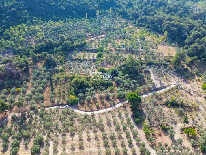 SELÇUK GÖKÇEALAN BURGAZ&#39;DA YOLA YAKIN TEK TAPU 5.392 m² TARLA